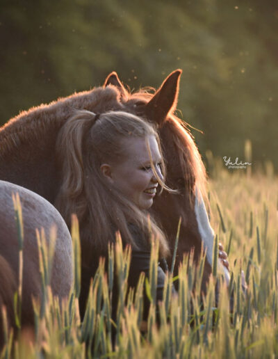 paarden fotoshoot zonsondergang
